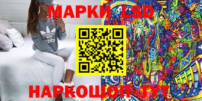 дурь Берёзовский