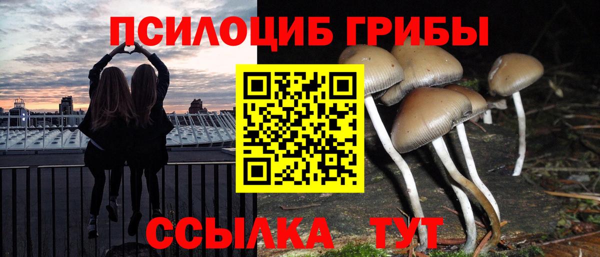 Псилоцибиновые грибы ЛСД Гусиноозёрск