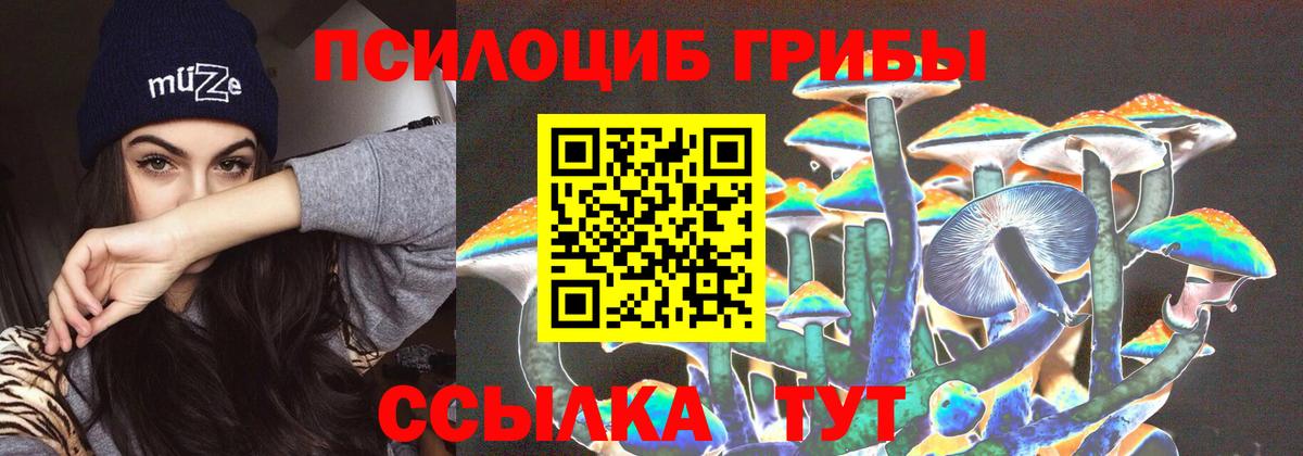 Гусиноозёрск  Галлюциногенные грибы MAGIC MUSHROOMS  Вход с VPN  Псилоцибиновые грибы мицелий 