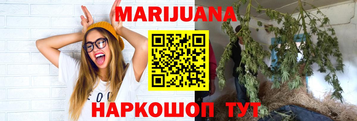 Бошки Шишки марихуана Гусиноозёрск